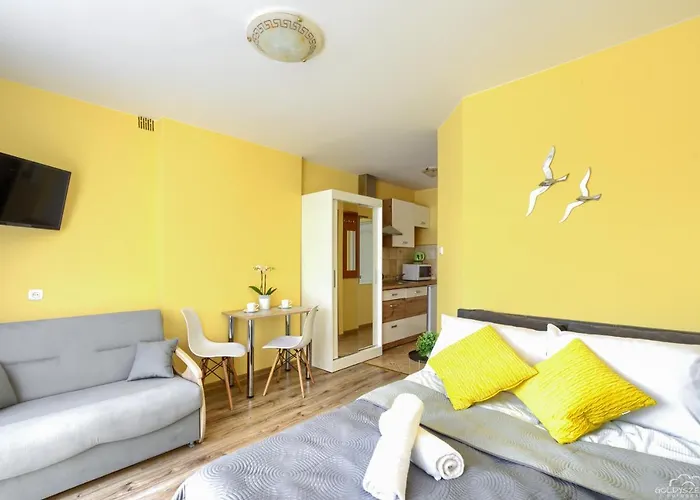 ゲストハウス Kasia ムジェジノ